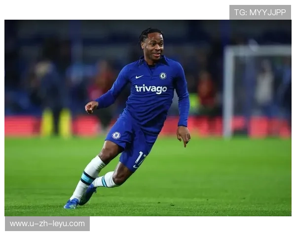 多特蒙德猛押南美创造者！夏窗带来两大潜力新星，引领闪耀未来